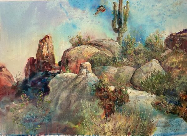 RED TAIL HAWK HUNTING THE SONORAN DESERT – 34X48 CANVAS